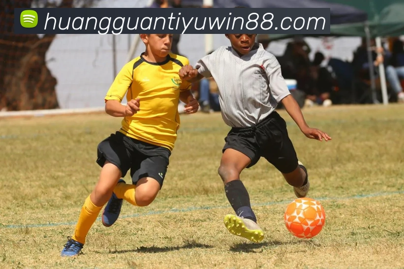 皇冠体育服务体系